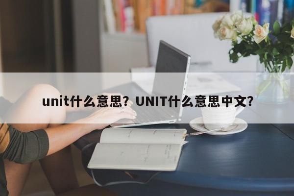 unit什么意思？UNIT什么意思中文？