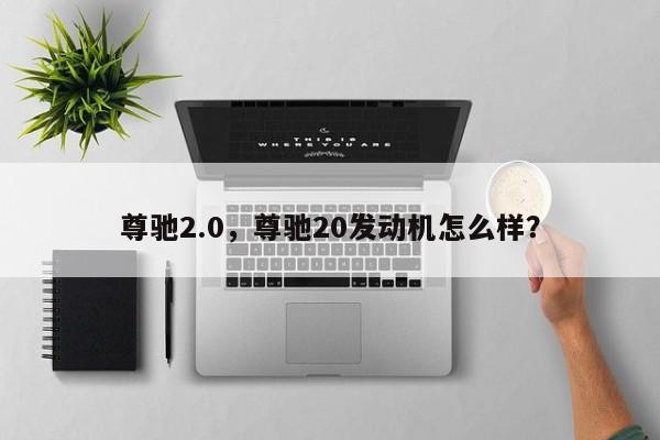 尊驰2.0，尊驰20发动机怎么样？