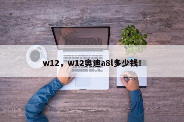 w12，w12奥迪a8l多少钱！