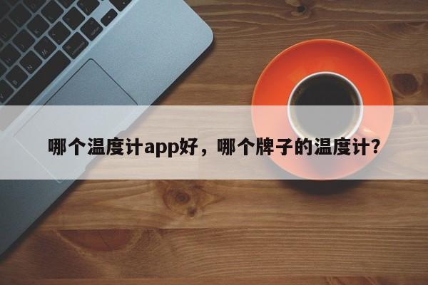 哪个温度计app好，哪个牌子的温度计？