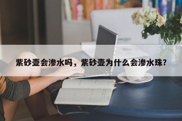 紫砂壶会渗水吗，紫砂壶为什么会渗水珠？