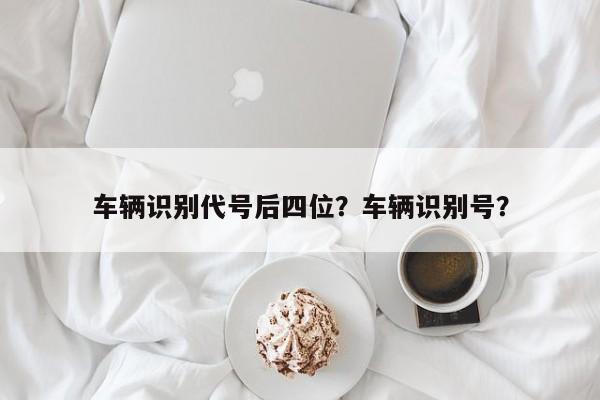 车辆识别代号后四位？车辆识别号？