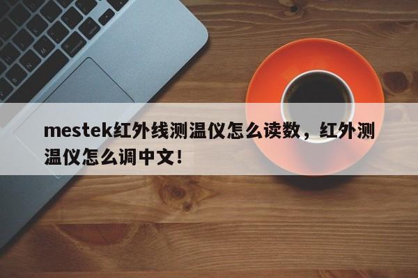 mestek红外线测温仪怎么读数，红外测温仪怎么调中文！