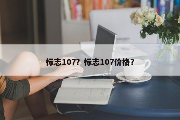 标志107？标志107价格？