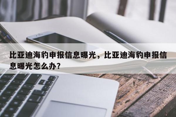 比亚迪海豹申报信息曝光，比亚迪海豹申报信息曝光怎么办？