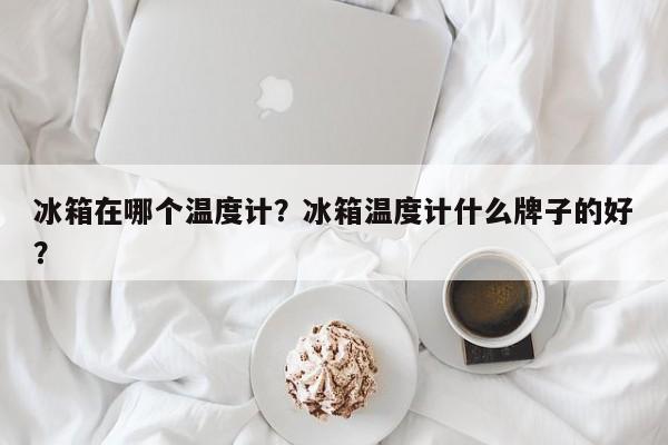 冰箱在哪个温度计？冰箱温度计什么牌子的好？