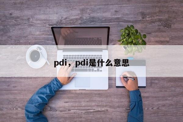 pdi，pdi是什么意思