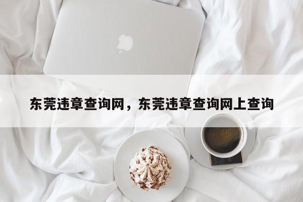 东莞违章查询网，东莞违章查询网上查询