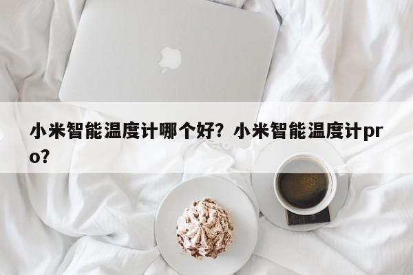 小米智能温度计哪个好？小米智能温度计pro？