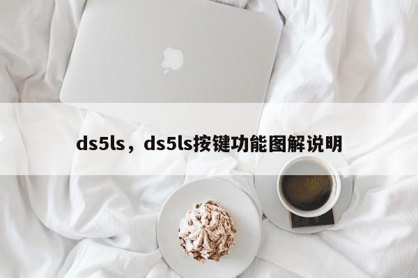 ds5ls，ds5ls按键功能图解说明