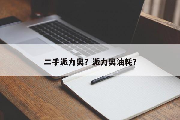 二手派力奥？派力奥油耗？