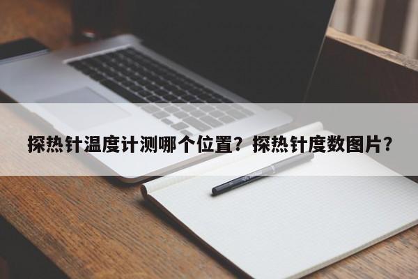 探热针温度计测哪个位置？探热针度数图片？