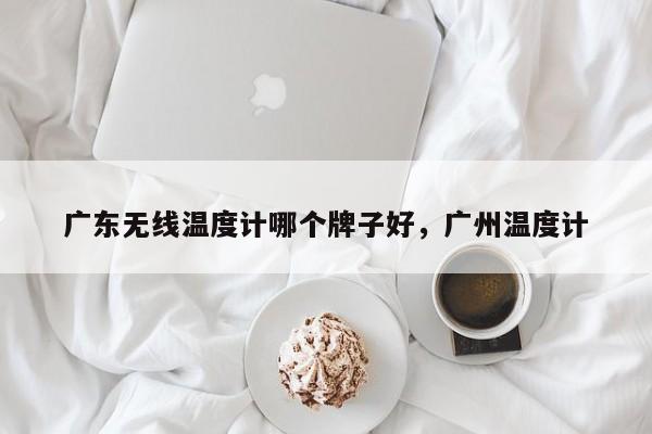 广东无线温度计哪个牌子好，广州温度计