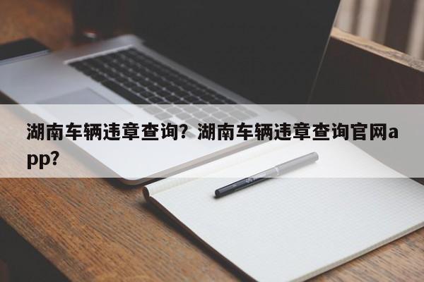 湖南车辆违章查询？湖南车辆违章查询官网app？