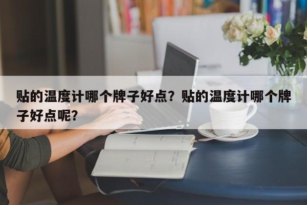 贴的温度计哪个牌子好点？贴的温度计哪个牌子好点呢？