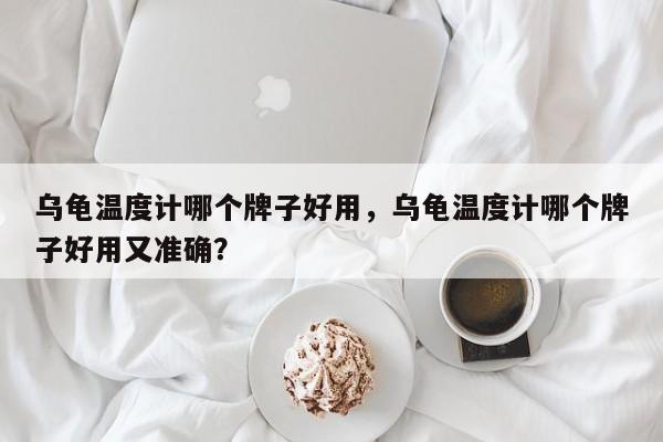 乌龟温度计哪个牌子好用，乌龟温度计哪个牌子好用又准确？