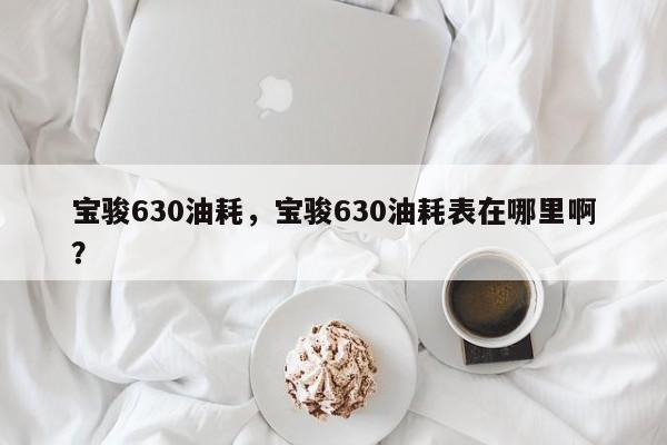 宝骏630油耗，宝骏630油耗表在哪里啊？