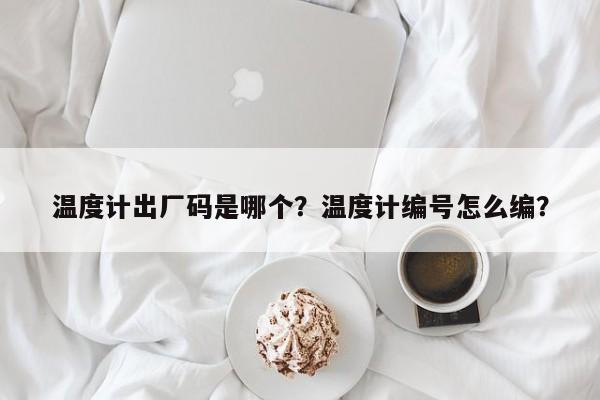 温度计出厂码是哪个？温度计编号怎么编？