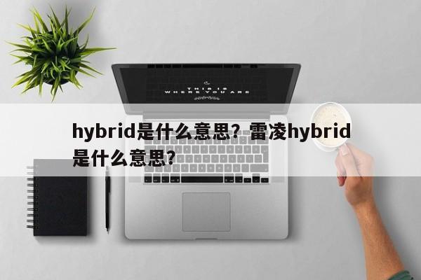 hybrid是什么意思？雷凌hybrid是什么意思？