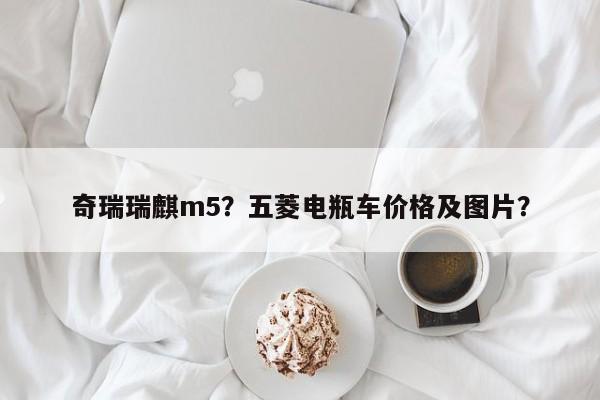 奇瑞瑞麒m5？五菱电瓶车价格及图片？