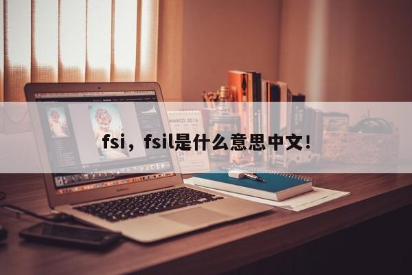 fsi，fsil是什么意思中文！